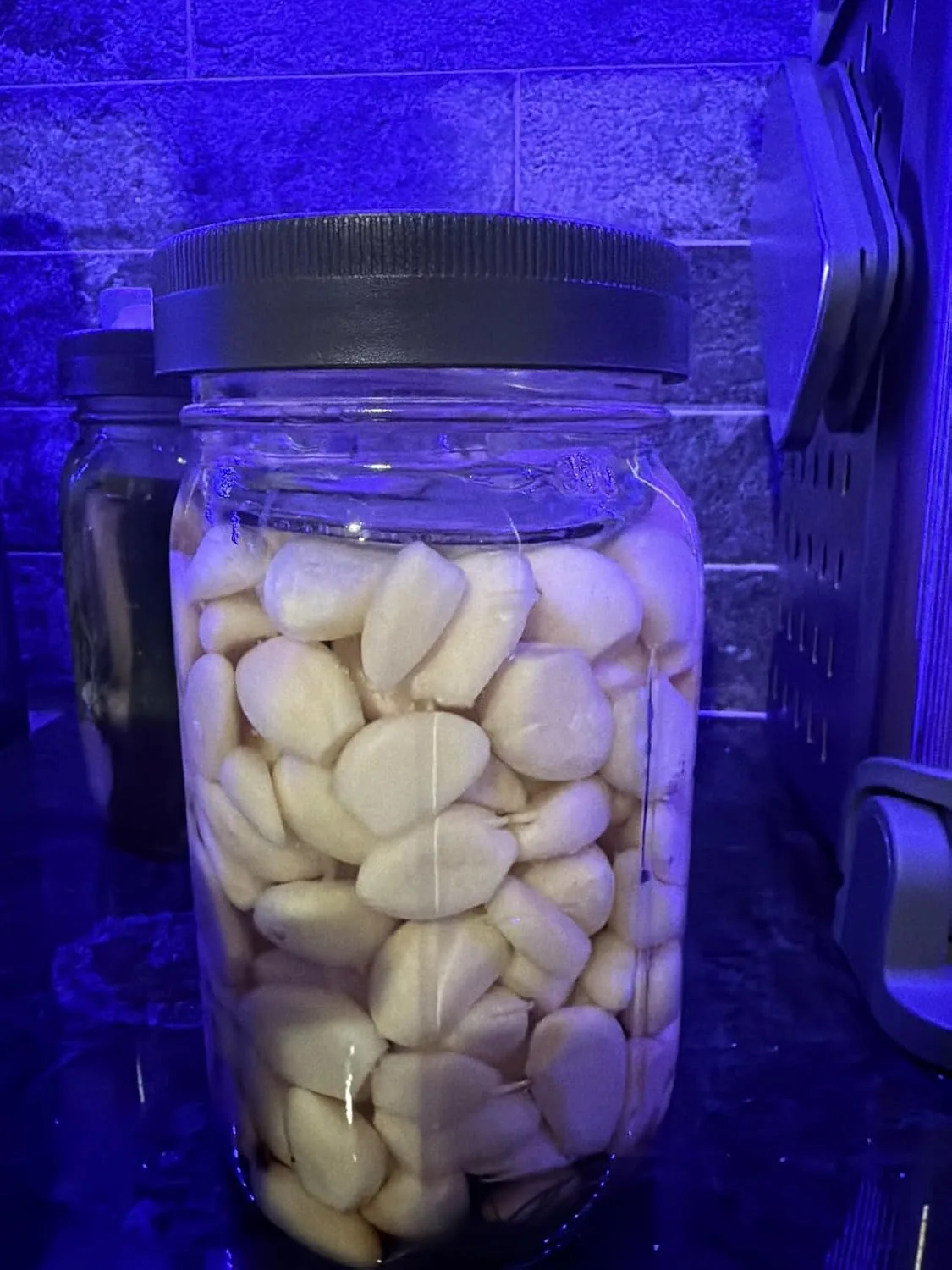 Customer photo of fermentation weights and airlock lids keeping vegetables submerged in brine jar