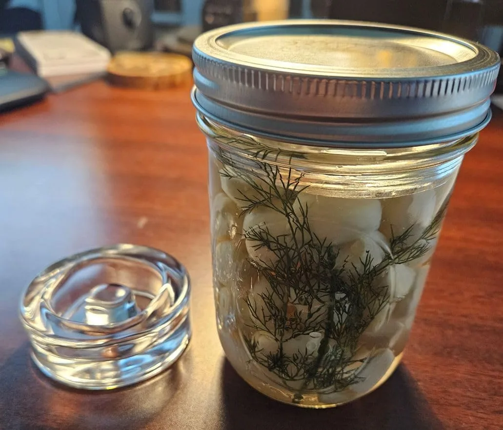 Customer photo of fermentation weights and airlock lids keeping vegetables submerged in brine jar