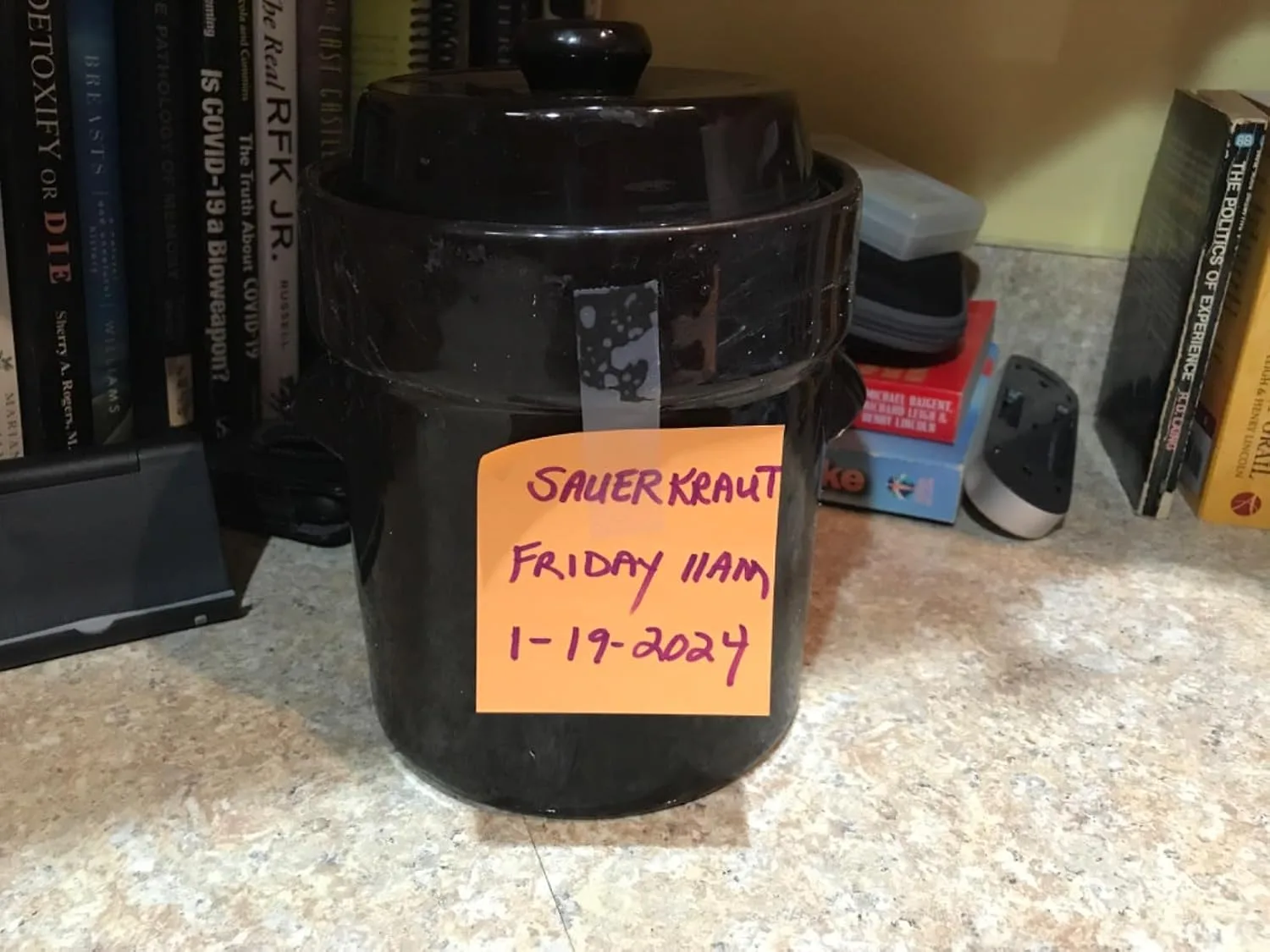 Customer review photo for I Ate Fermented Foods Every Day for 30 Days: Here’s What Happened to My Digestion