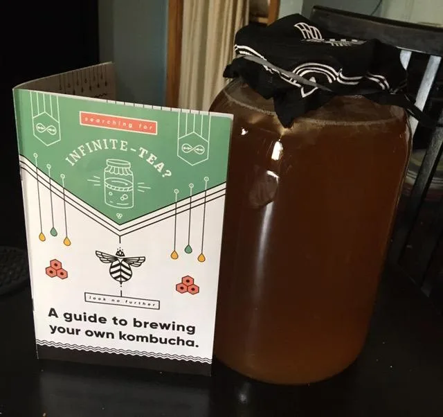Customer review photo for Kombucha: The Hype, The Reality, and Whether It’s Actually Worth Drinking