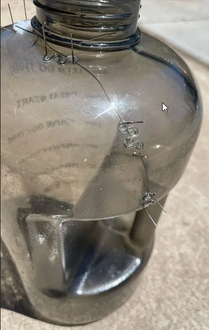 Customer review photo for Hydration and Constipation: The Water Intake Formula Your Gut Needs