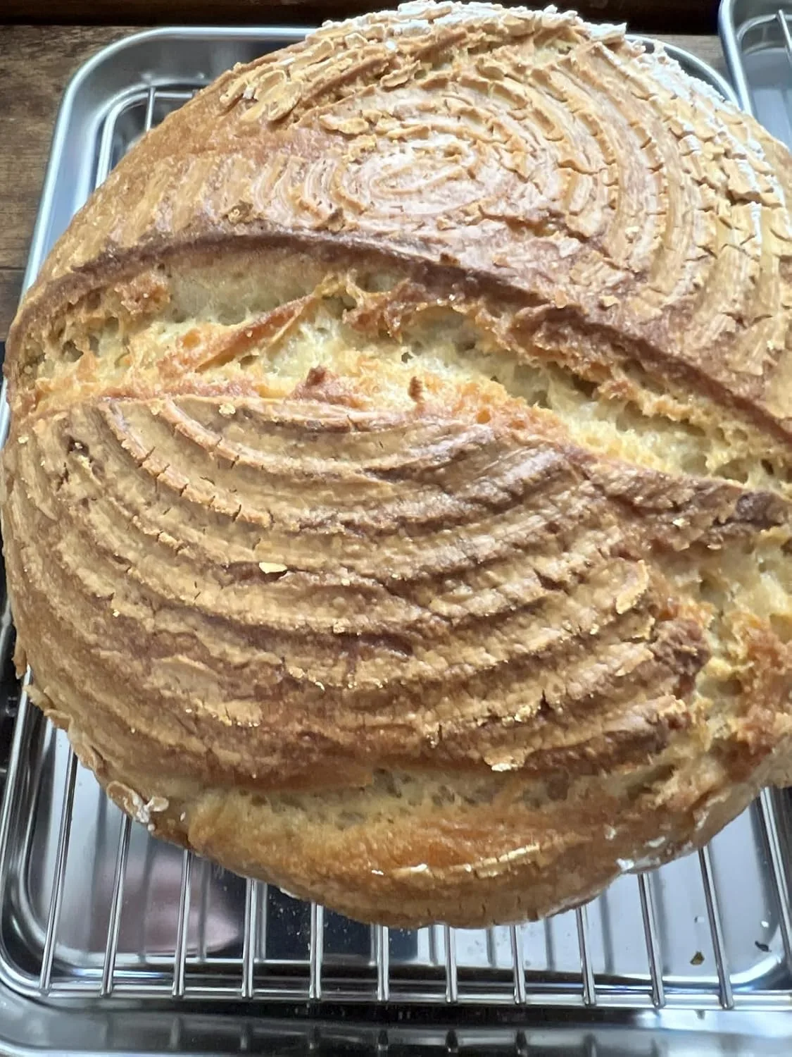 Customer review photo for Hidden Gluten: The Unexpected Sources I Find in Almost Every New Coeliac Client’s Diet